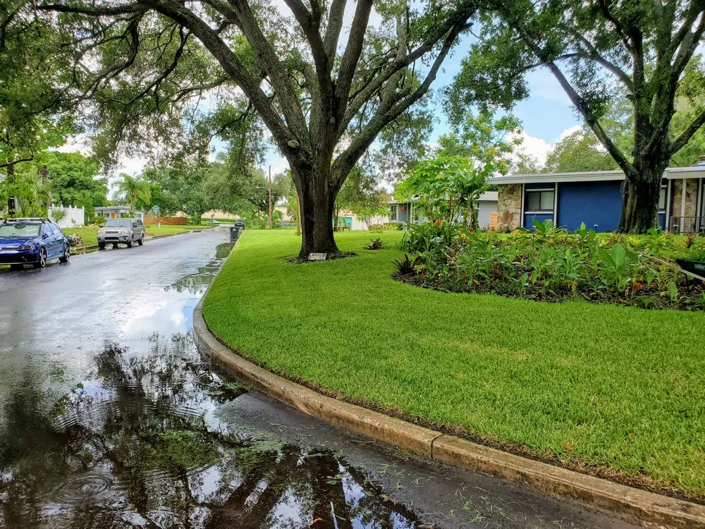 Expert lawn care service in Orlando, FL - Freeman's All Purpose Services LLC