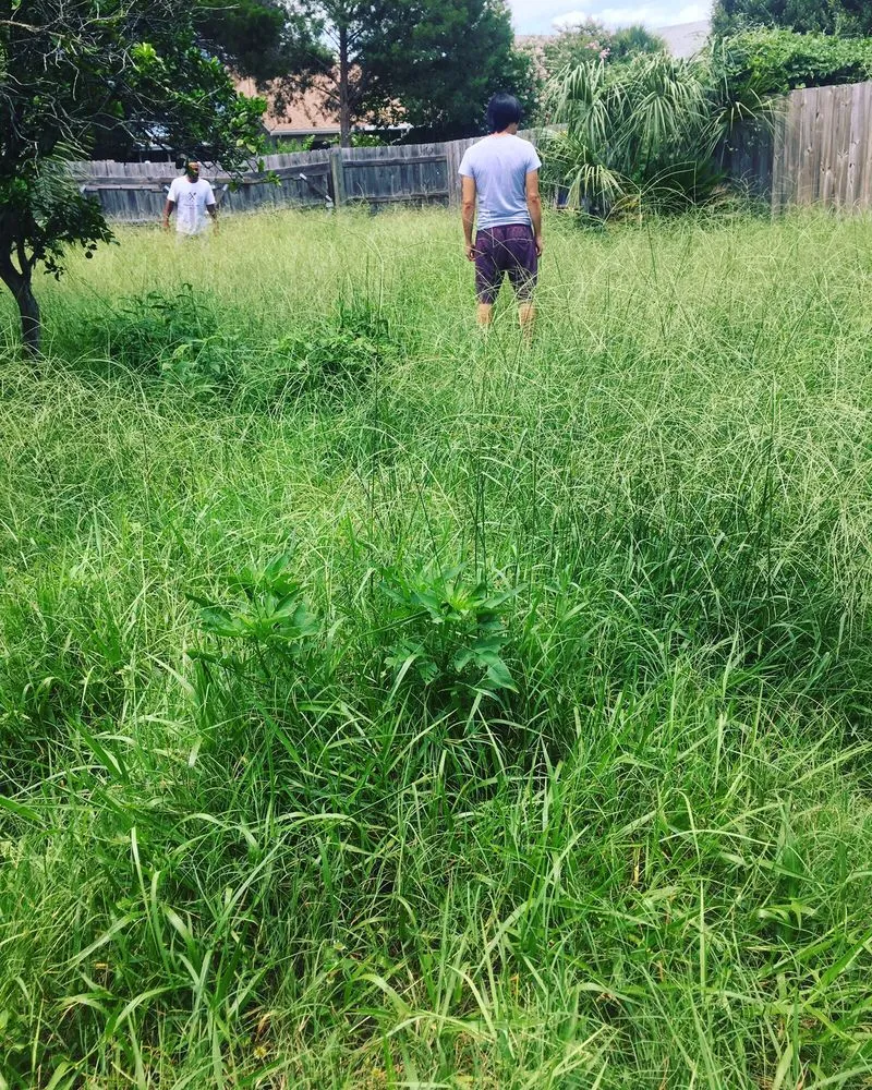 Local yard cleanup service in Orlando, FL - Freeman's All Purpose Services LLC