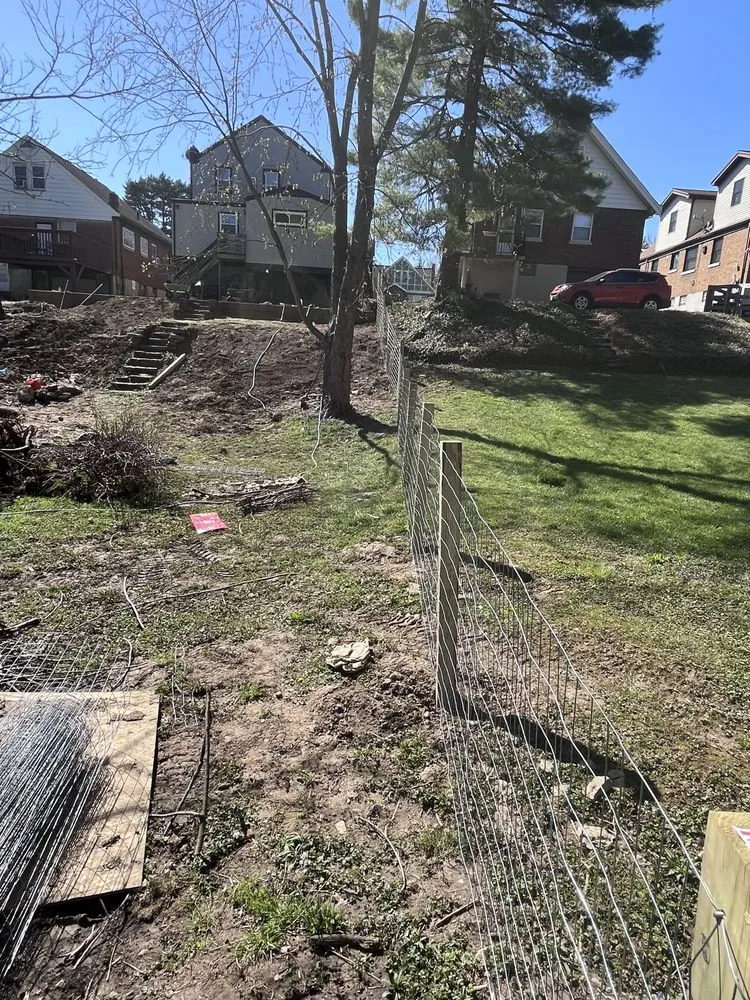 Top-rated lawn mowing service in Cheviot, OH - Freeman’s Landscaping & Gardening