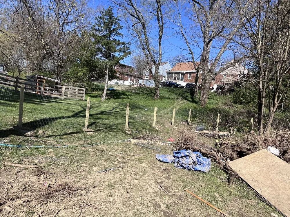 Reliable yard maintenance in Cheviot, OH - Freeman’s Landscaping & Gardening