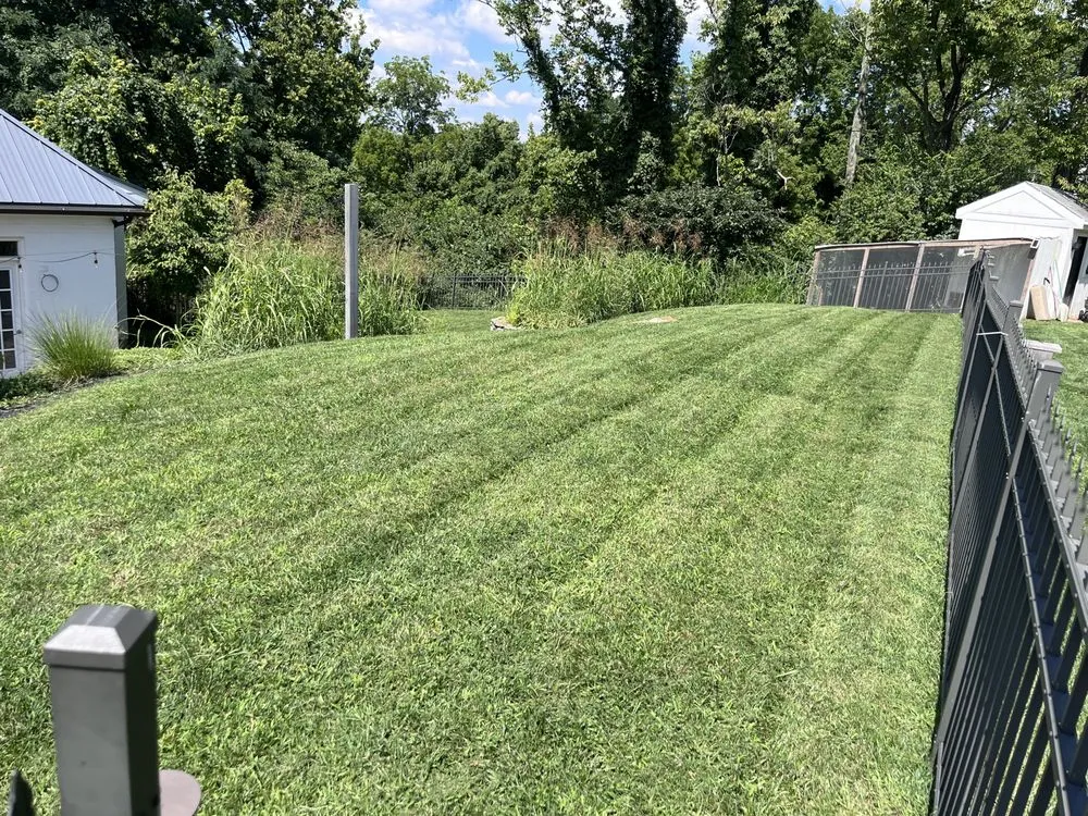 Professional yard maintenance for residential properties in Cheviot, OH by Freeman’s Landscaping & Gardening