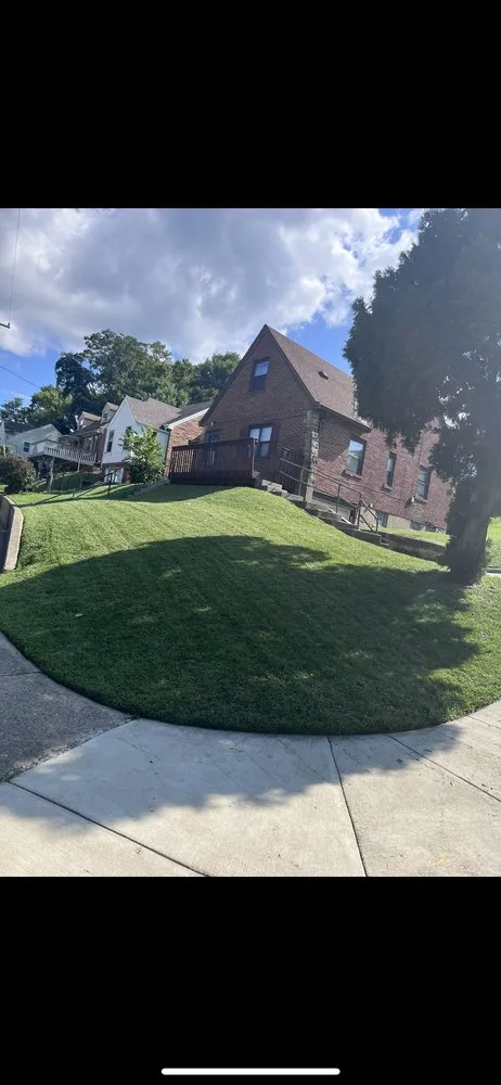 Professional landscaping services experts serving Cheviot, OH - Freeman’s Landscaping & Gardening