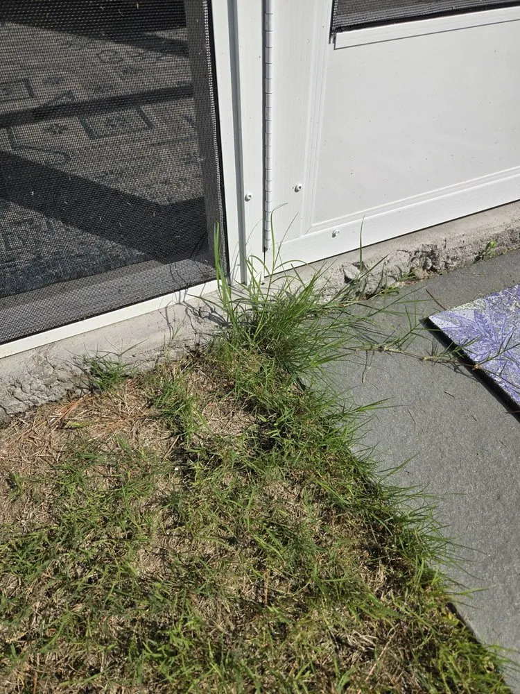 Trusted outdoor landscaping in Wilmington, NC by Freeman’s Landscaping