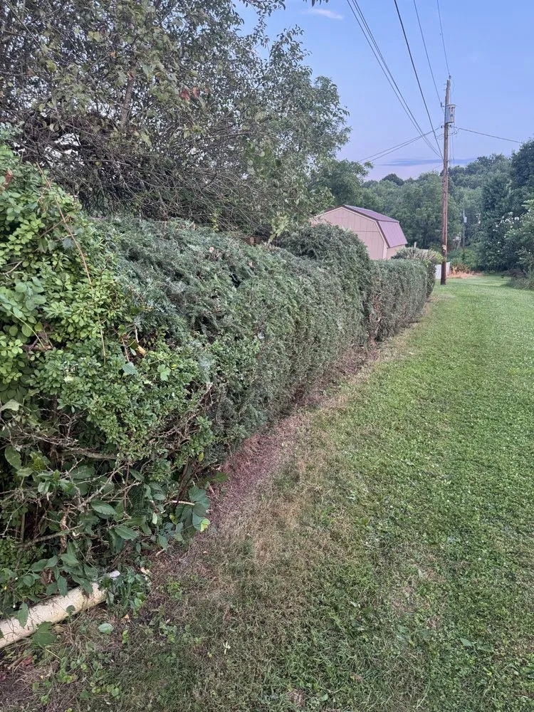 Custom lawn care service for outdoor upgrades across Greensburg, PA - Freemans Lawncare And Landscaping