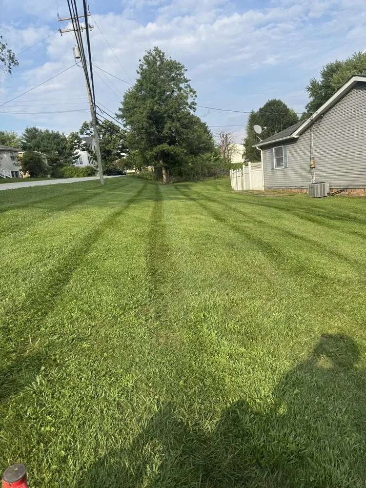 Trusted landscaping services in Greensburg, PA - Freemans Lawncare And Landscaping