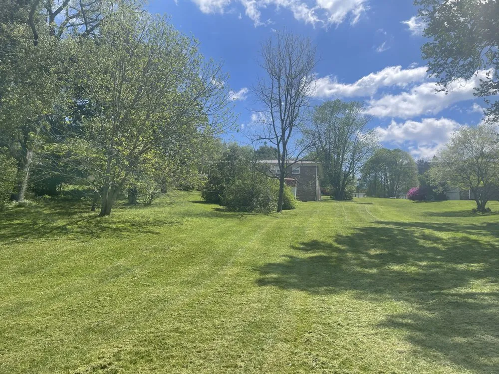 Custom lawn mowing service near you in Marion, VA by Freemans Mowing Service