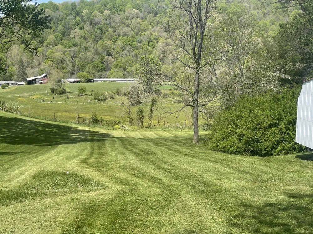 Reliable yard maintenance experts serving Marion, VA - Freemans Mowing Service