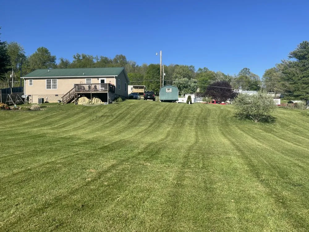 Trusted yard cleanup service experts serving Marion, VA - Freemans Mowing Service