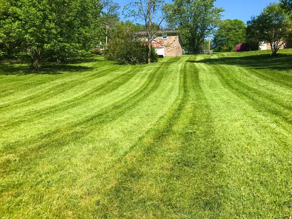 Top-rated landscaping services experts serving Marion, VA - Freemans Mowing Service