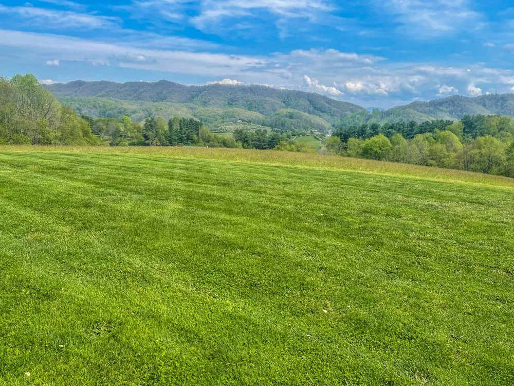 Top-rated garden landscaping in Marion, VA - Freemans Mowing Service