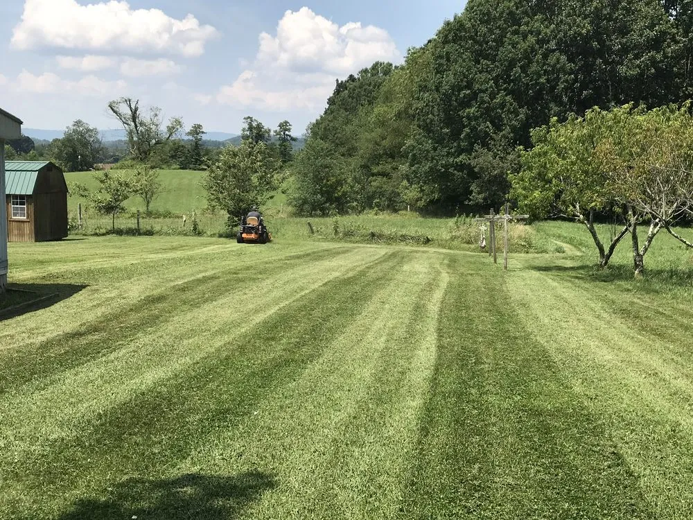 Reliable lawn care service for year-round maintenance across Marion, VA - Freemans Mowing Service
