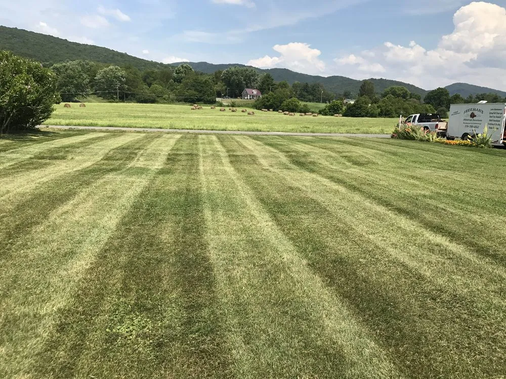 Expert lawn care service experts serving Marion, VA - Freemans Mowing Service