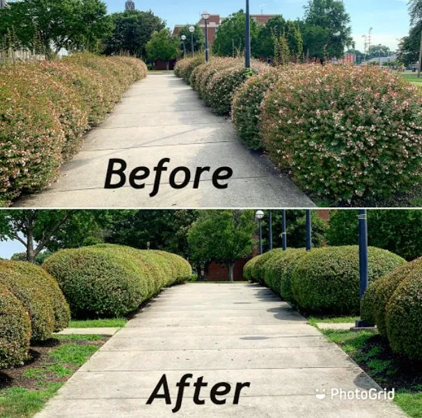 Trusted garden landscaping in Richmond, VA by Freemans Pressure Washing & Lawn Care