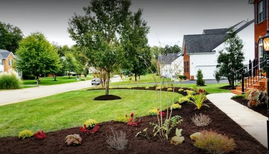 Local lawn care service for beautiful yards in Richmond, VA by Freemans Pressure Washing & Lawn Care