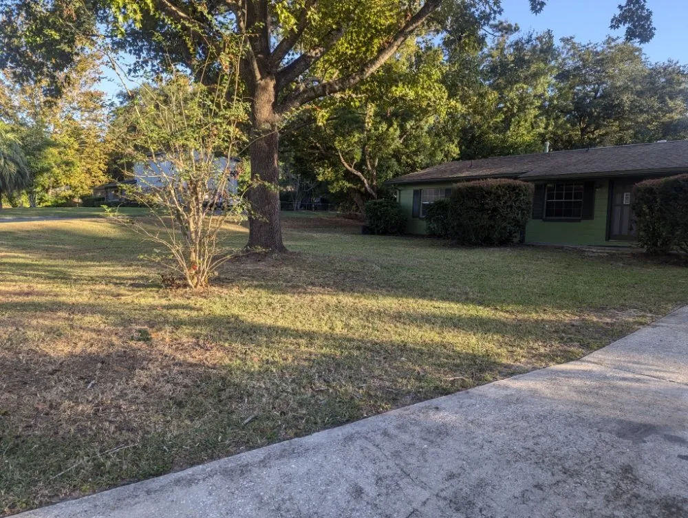 Local landscape installation in Gainesville, FL - Freenys Lawn Service