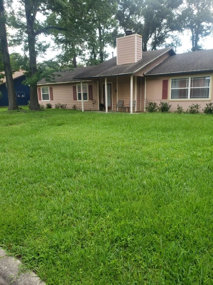 Trusted yard cleanup service in Gainesville, FL - Freenys Lawn Service