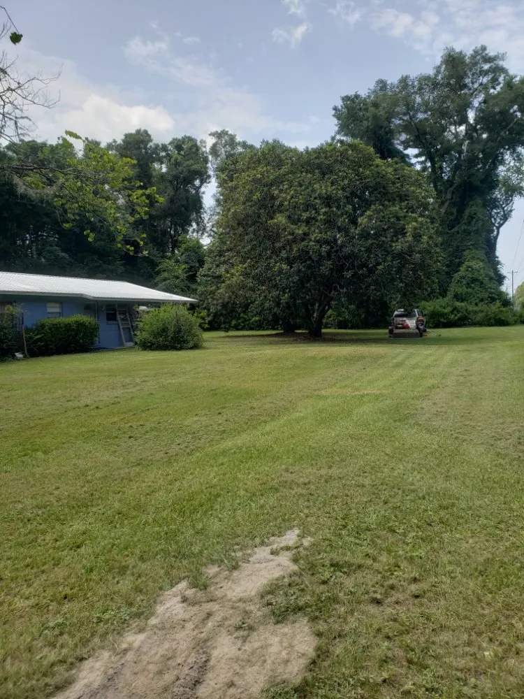 Local lawn care service experts serving Gainesville, FL - Freenys Lawn Service