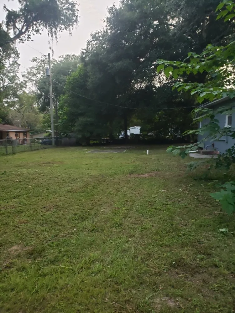 Professional yard maintenance for outdoor upgrades across Gainesville, FL - Freenys Lawn Service