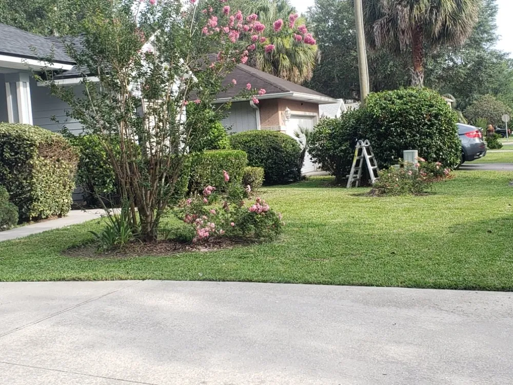 Professional lawn care service with custom design across Gainesville, FL - Freenys Lawn Service