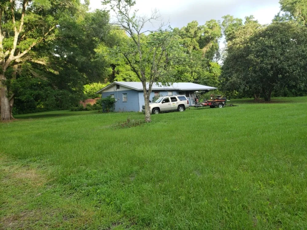 Top-rated residential landscaping for year-round maintenance in Gainesville, FL by Freenys Lawn Service