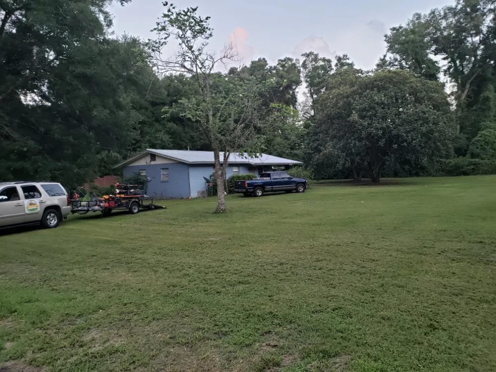 Trusted yard maintenance with custom design in Gainesville, FL by Freenys Lawn Service