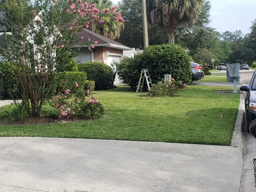 Professional outdoor landscaping near you across Gainesville, FL - Freenys Lawn Service