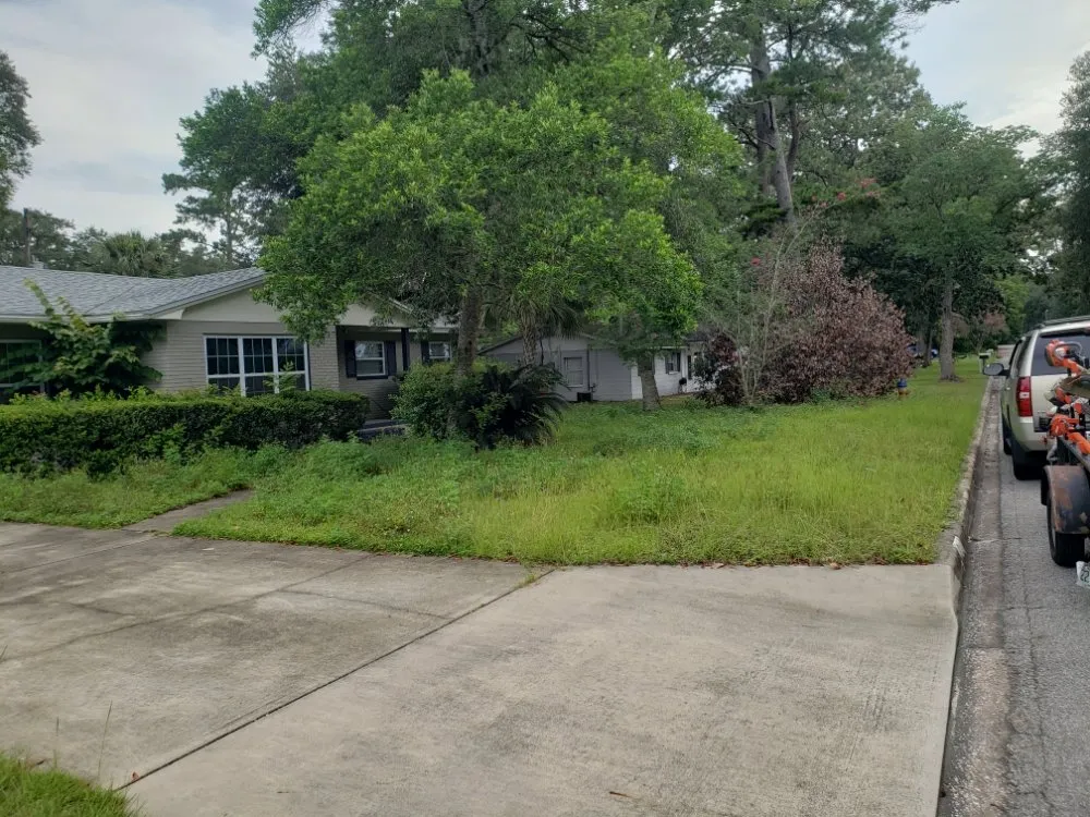 Reliable yard cleanup service experts serving Gainesville, FL - Freenys Lawn Service