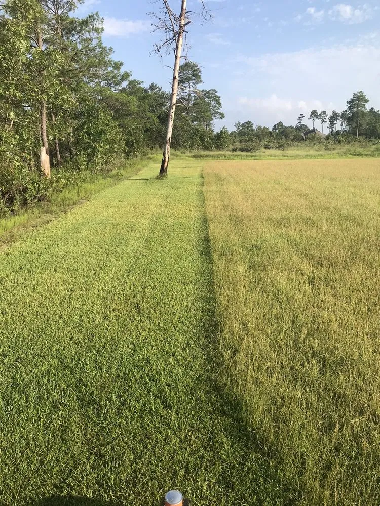 Expert residential landscaping for year-round maintenance in Freeport, FL by Freeport Lawn Care