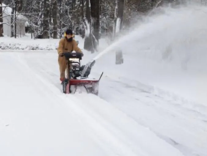 Trusted yard cleanup service experts serving Florence Township, NJ - Frees Lawn Care