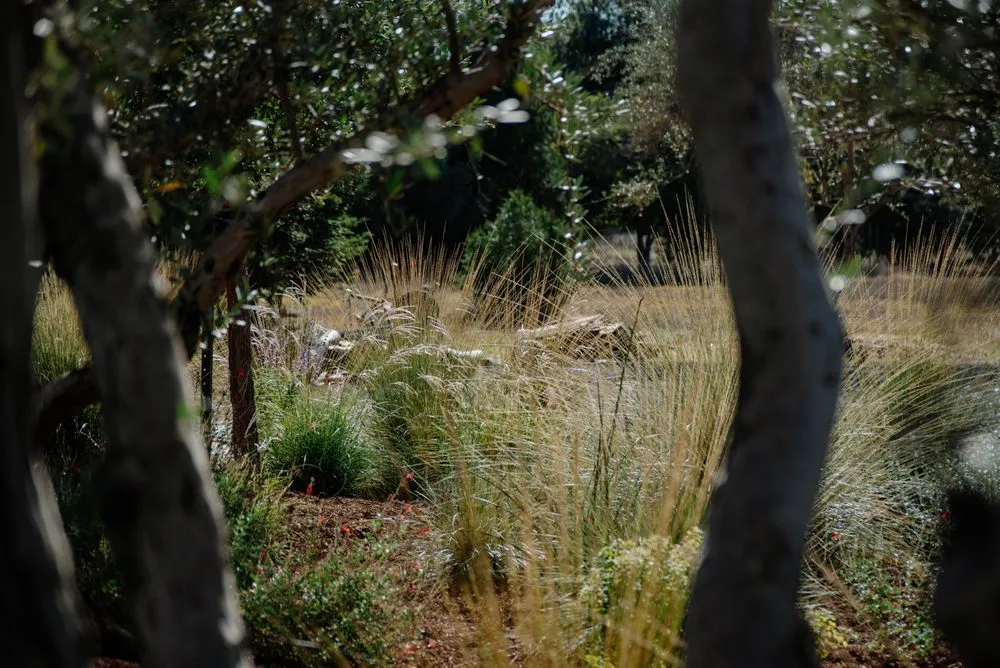 Custom lawn mowing service in Redding, CA - Freestyle Landscaping