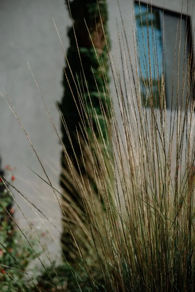 Local landscape design for outdoor upgrades across Redding, CA - Freestyle Landscaping