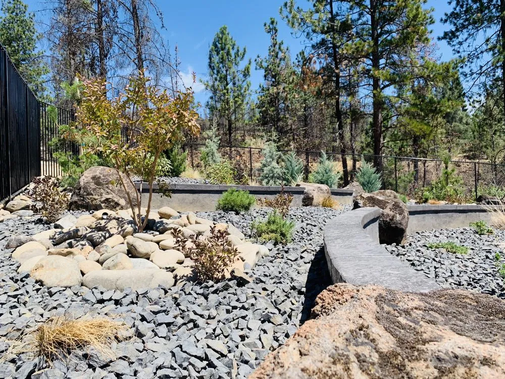 Top-rated lawn care service for residential properties in Redding, CA by Freestyle Landscaping