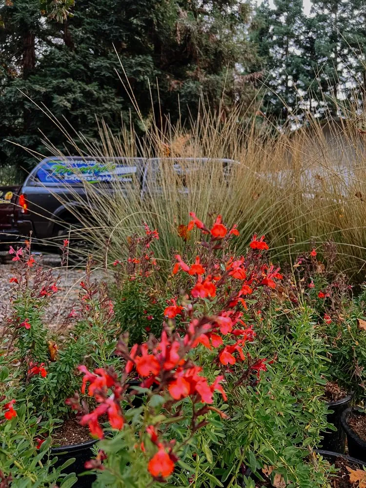 Professional outdoor landscaping for homes in Redding, CA by Freestyle Landscaping