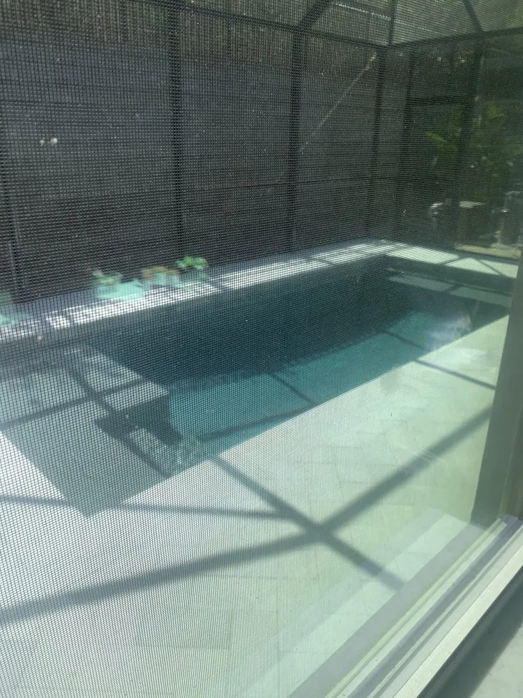 Trusted yard cleanup service with custom design in Oldsmar, FL by Freestyle Pools & Spas