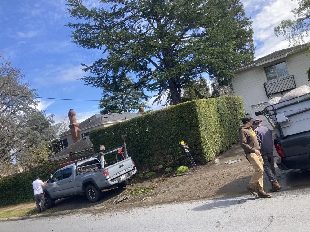 Affordable lawn care service for outdoor upgrades across Los Banos, CA - Fregoso Landscaping Services