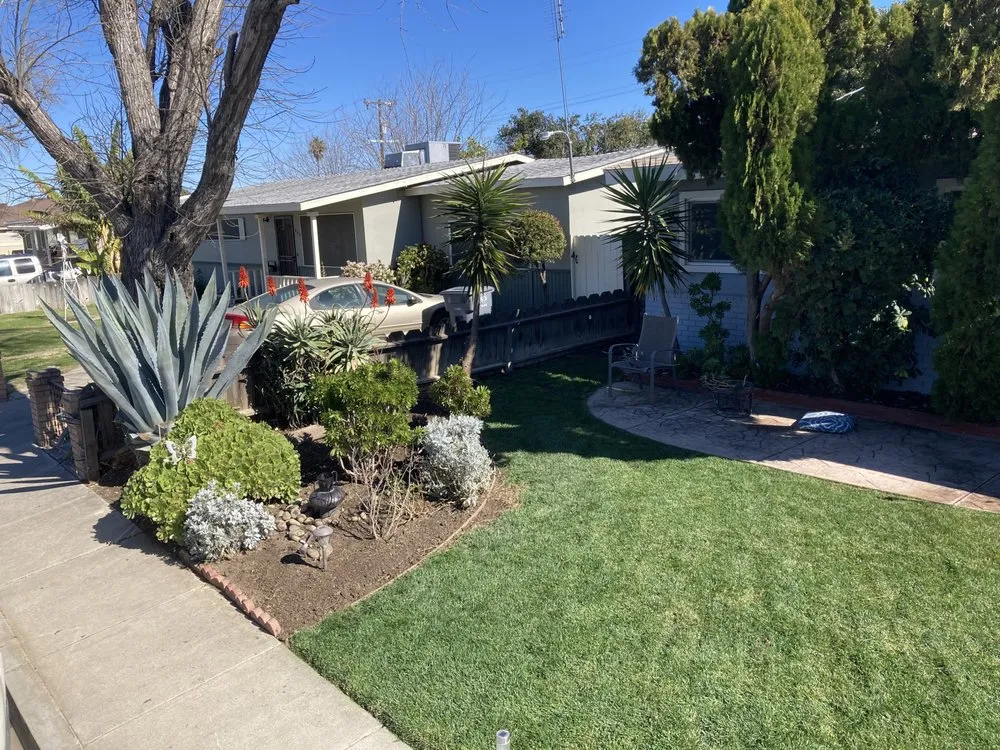 Affordable outdoor landscaping in Los Banos, CA by Fregoso Landscaping Services