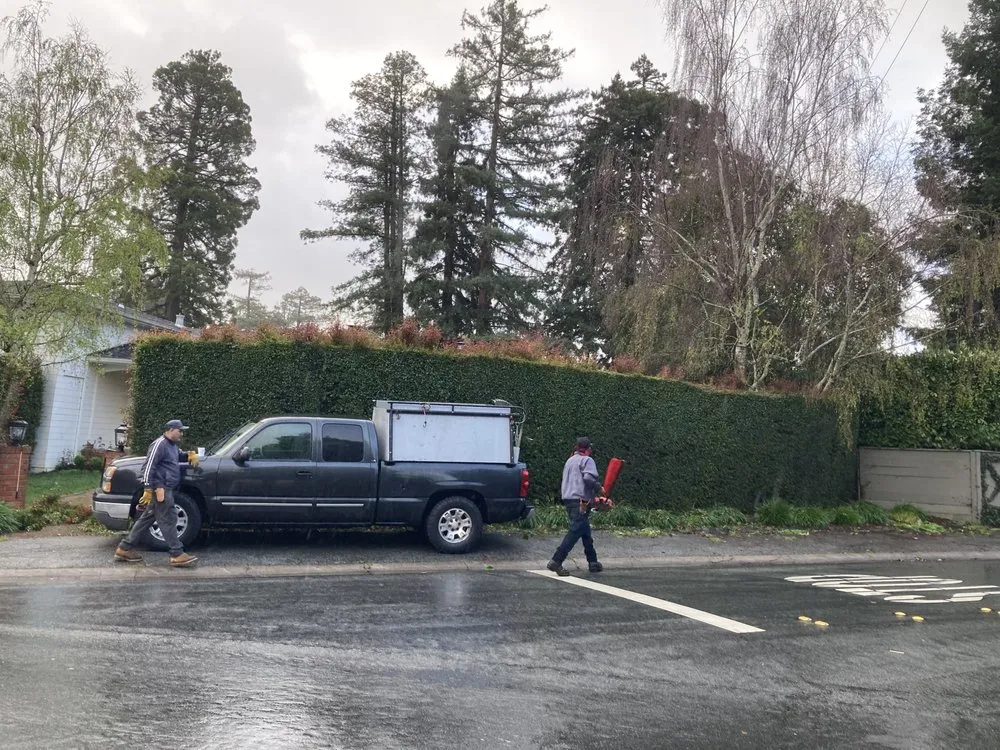 Top-rated landscaping services near you across Los Banos, CA - Fregoso Landscaping Services