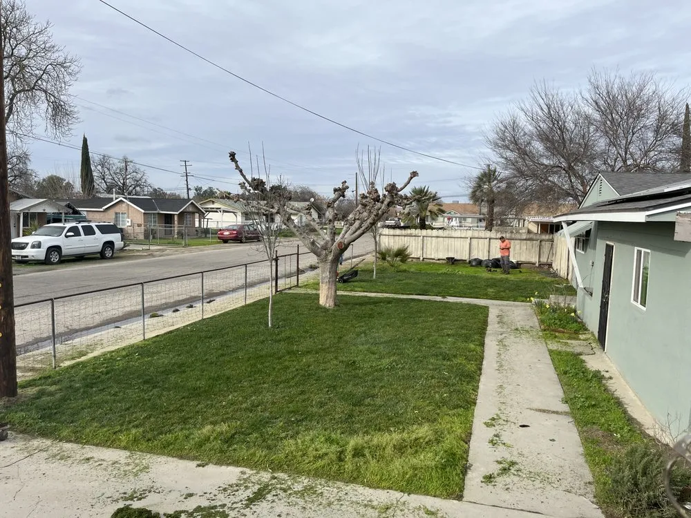 Professional landscaping services in Los Banos, CA - Fregoso Landscaping Services