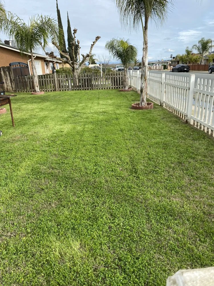Local landscaping services for residential properties across Los Banos, CA - Fregoso Landscaping Services