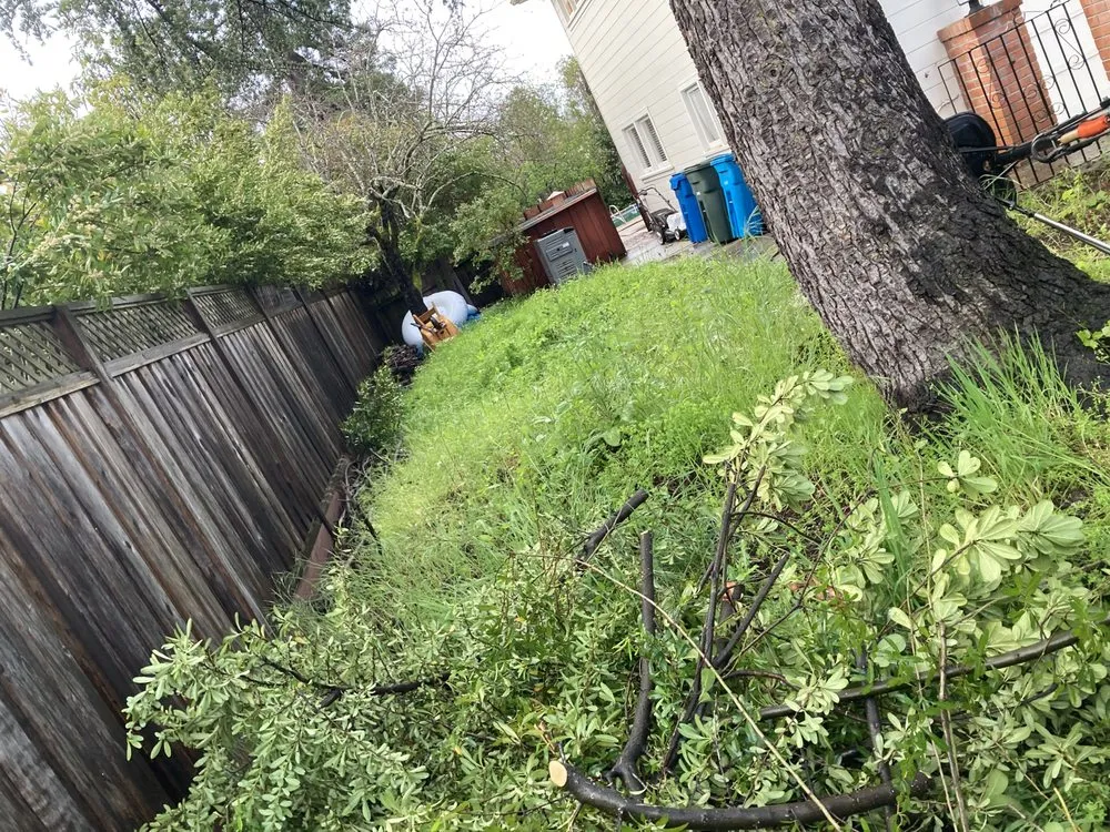 Top-rated lawn mowing service for year-round maintenance in Los Banos, CA by Fregoso Landscaping Services