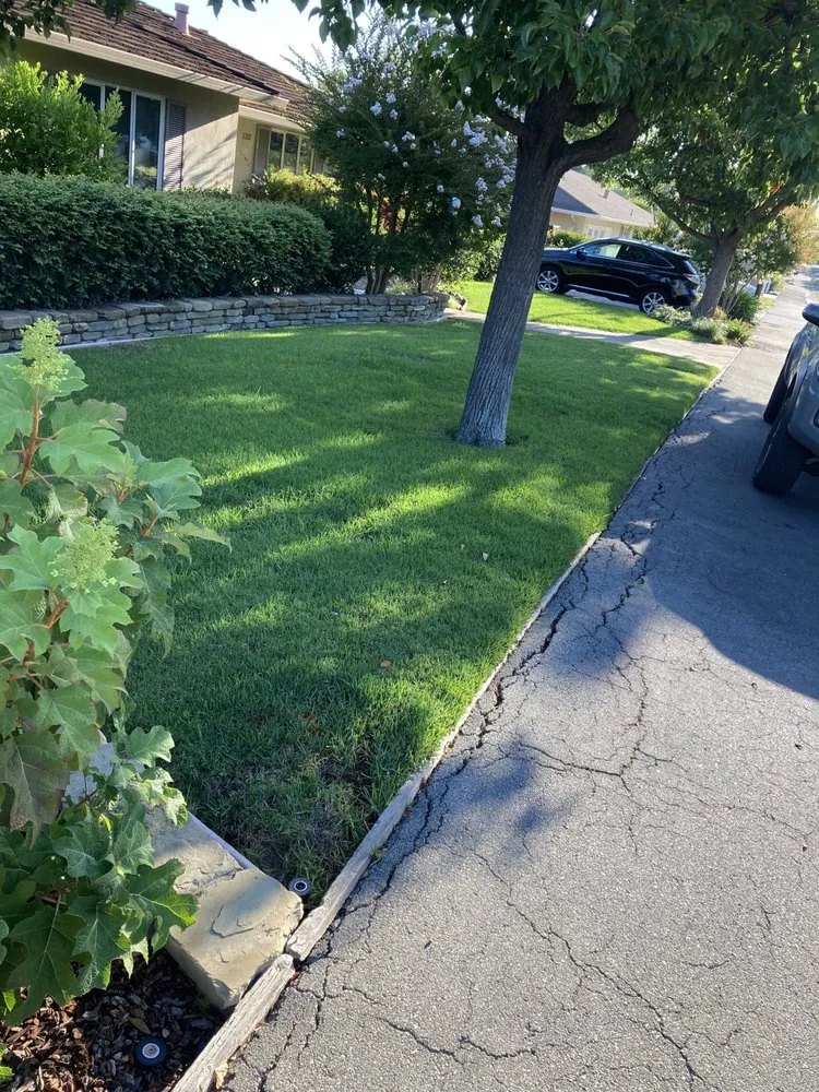 Expert outdoor landscaping for beautiful yards in Los Banos, CA by Fregoso Landscaping Services