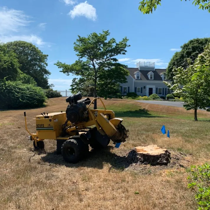 Trusted yard maintenance in Brewster, MA by Freiner Stump Grinding Service