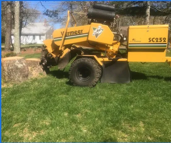 Affordable lawn care service in Brewster, MA by Freiner Stump Grinding Service