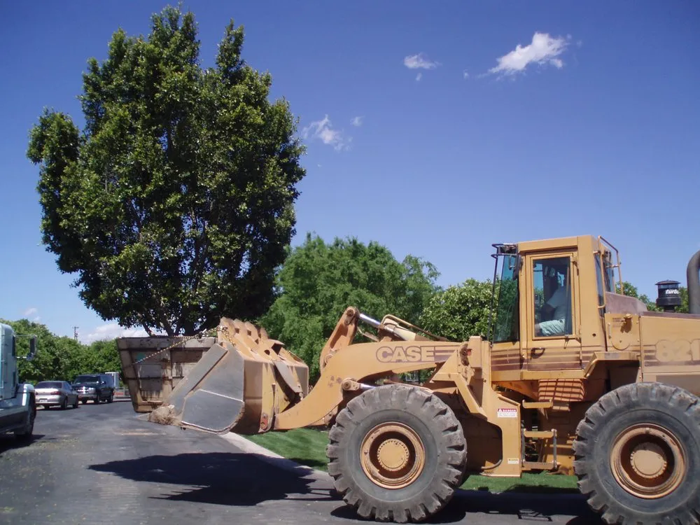 Reliable yard cleanup service for year-round maintenance across Cave Creek, AZ - French Accent Landscaping