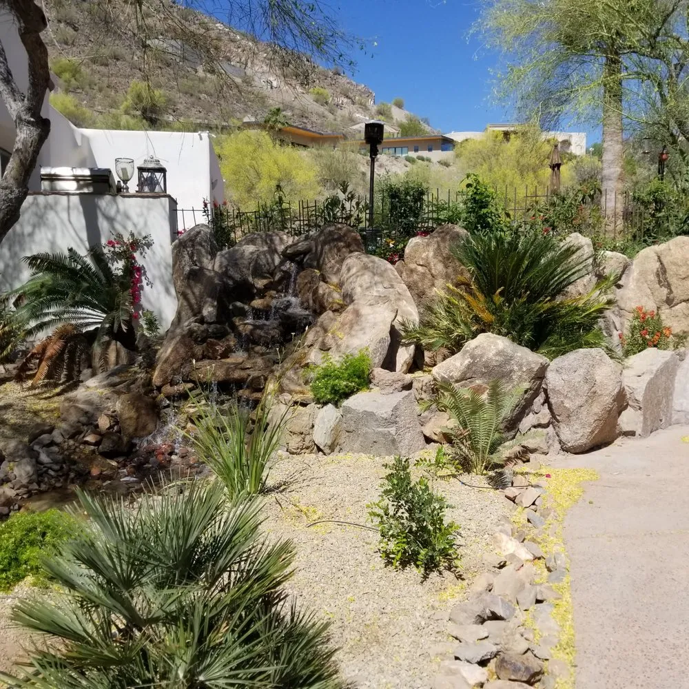 Professional yard cleanup service for beautiful yards in Cave Creek, AZ by French Accent Landscaping
