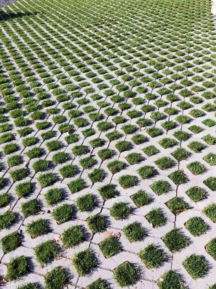 Custom lawn care service in Cave Creek, AZ - French Accent Landscaping