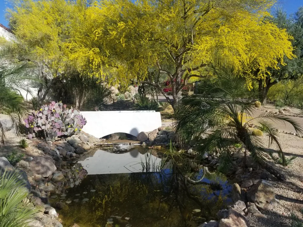 Trusted lawn care service experts serving Cave Creek, AZ - French Accent Landscaping