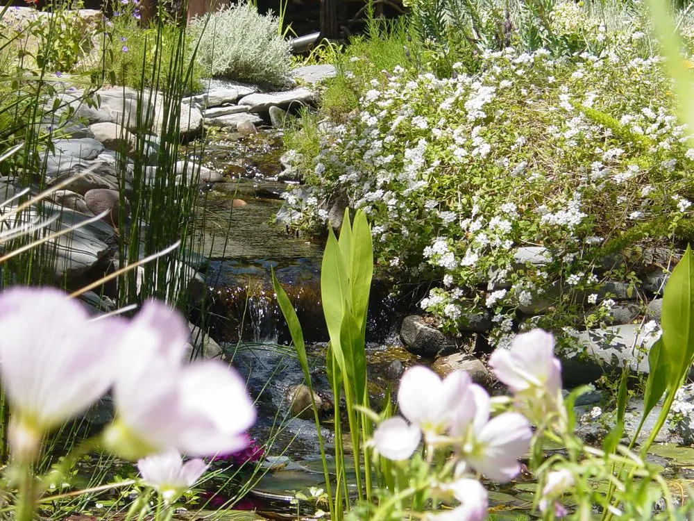 Custom landscape installation near you across Cave Creek, AZ - French Accent Landscaping