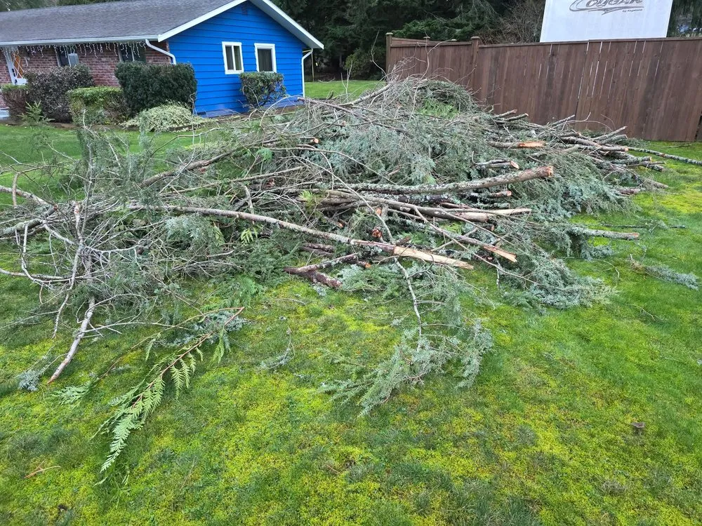 Affordable lawn care service in Snohomish, WA - French Creek