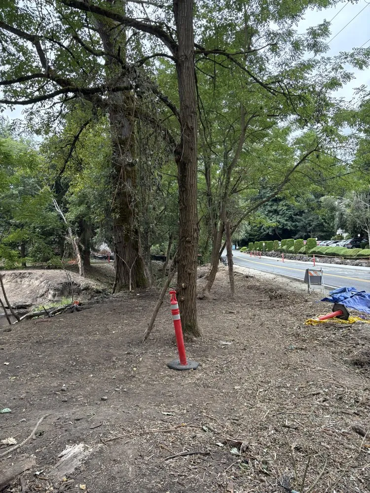 Expert landscape design in Snohomish, WA by French Creek